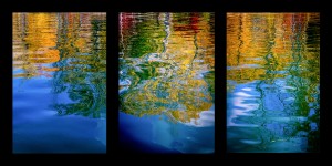 Gaias Reflection Triptych 